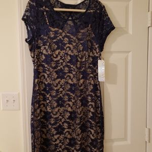 Blue Lace Dress